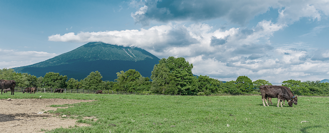 羊蹄山の写真